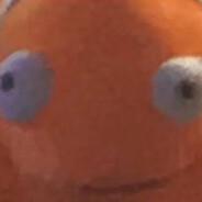 NEMOP