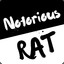 The Notorious Rat