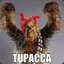 Tupacca