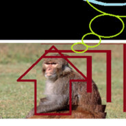 JonathanRomanoSkins - steam id 76561199093174575