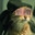 Chunder Cat