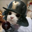 CatXeat
