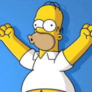 HOMER - steam id 76561199058790240