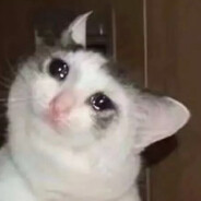 我根本不会打残局