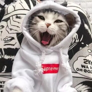 user33999