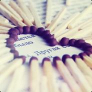 诺亚方舟丶