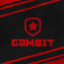 &lt;Gambit_HuNTeR&gt;