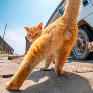 я погнал ✌️☮