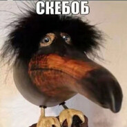SKEBOB - steam id 76561199568621256