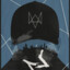 Vipex