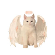 长路漫漫不可期