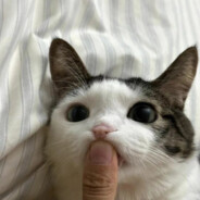 Damn使龙城飞将在