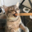 江执