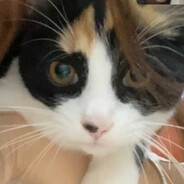 ～哈基米～干拉王