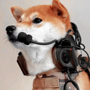 不能马身后有党和人民