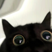 拉布拉多拉的多