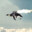 Flying Pinguin