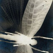 Лерочка Кошечка