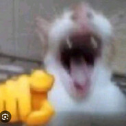 Musorab Ladi avatar