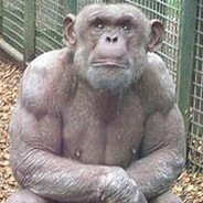 Никитка - steam id 76561198385837718