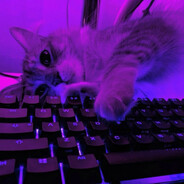 byekitty