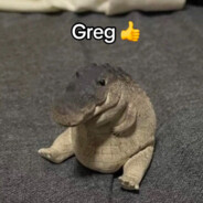 Greg👍