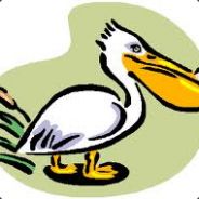 LePelicaN - steam id 76561197961867348