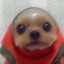Avatar of germa