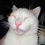 Snowi