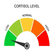 lοw cortisοl