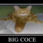 big coce