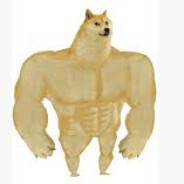 stronkkkyyy