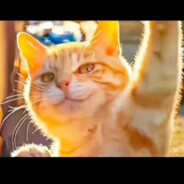 还是太菜了需要沉淀