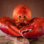 HORNY SHELLFISH IN YOUR AREA