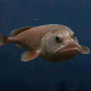 kinttto - steam id 76561199054948201