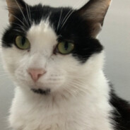 自摸十三幺连中13条码