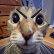 衬衫九磅十五便士