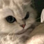 sunny20040123
