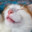 meowdy