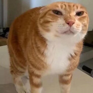 markku - steam id 76561198440940904