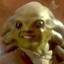 Kit Fisto