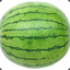 Wild Watermelon