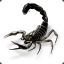 Black Scorpion