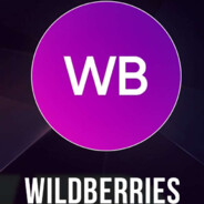 WBmonster - steam id 76561199258363083