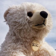 Majestic Bear