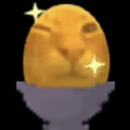 SNUSBROTHERHOODFORSENBOYSKEKWLUL