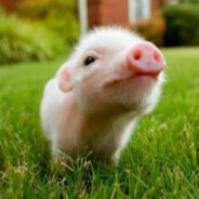 Hey ! ~c(<0.^.0>)ba~!