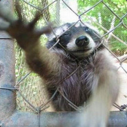 xTrashPanda - steam id 76561197968891741