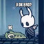 Hollow Knight Player