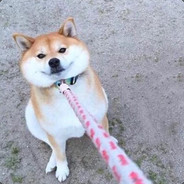 - , - 错误代码：-110